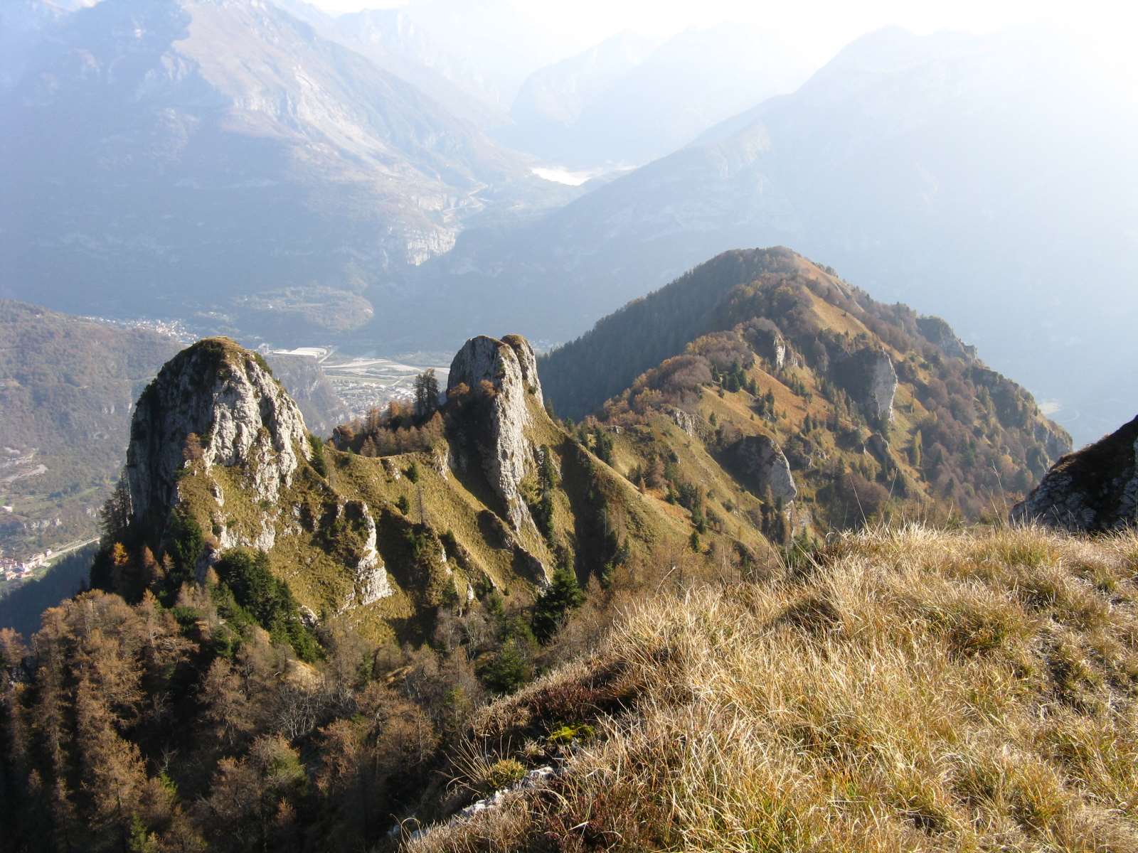 Cimon de Cajada: sulle tracce dei camosci.